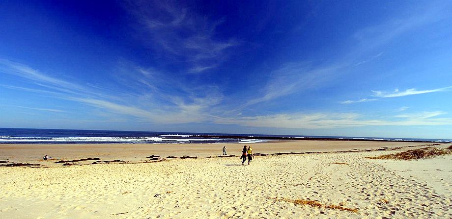 The beach at Creswell Northumberland